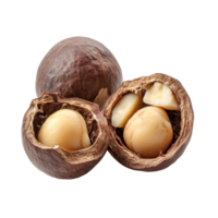 Whole and shelled macadamia nut seeds displayed on a clean transparent background for culinary and nutritional purposes, Macadamia nut seeds isolated on transparent background png