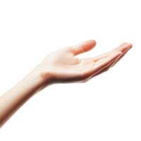 A womans hand holding an open palm gesture against a plain transparent background for an isolated view, woman hand holding somethingisolated on transparent background png
