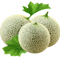 Fresh melons with green leaves displayed on a clean transparent background for a bright and natural look, melons or cantaloupe with leaf isolated on transparent background png