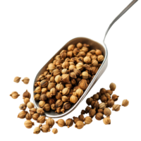Scoop filled with coriander seeds resting on a clean transparent background highlight the spices unique texture and aroma, Coriander seeds in scoop isolated on transparent background png