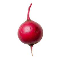 A vibrant red radish displayed against a clean transparent background, showcasing its fresh and crisp appearance, red radish on transparent background png