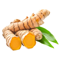 Fresh turmeric root with green leaf isolated on transparent background for culinary and medicinal uses, turmeric with leaf isolated on transparent background png