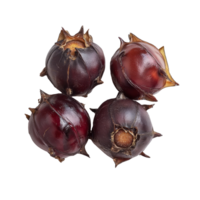 Fresh water chestnuts displayed on a transparent background showcasing their unique shape and texture for culinary uses, Water chestnut on transparent background png