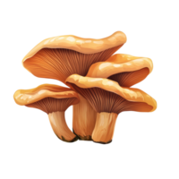 Lingzhi mushroom with smooth caps and delicate gills isolated on a transparent background, showcasing its unique structure, Lingzhi Mushroom isolated on transparent background png