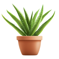 Aloe bush thriving in a simple clay pot against a transparent background for a clean minimalist look, aloe bush in a clay pot, file of isolated object with shadow on transparent background png