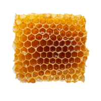 Closeup of fresh honeycomb on a transparent background showcasing its natural texture and vibrant color, A closeup of a fresh honeycomb on a transparent background png