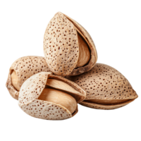 Fresh almonds in their shells displayed on a light background for creative culinary use, Almonds with shell isolated png