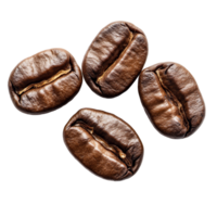 Highquality coffee beans displayed on a clean transparent background for a fresh and inviting look, coffee beans isolated on transparent backgroundfile png