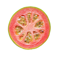 Fresh guava slice showcasing vibrant pink pulp and seeds on a clean transparent surface, slice of guava fruit on transparent background png