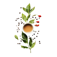 vers koffie bladeren omgeving een kop van ogenblik koffie met peper Aan een transparant achtergrond, ogenblik koffie bladeren en peper kop Aan transparant achtergrond png