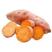 Fresh sweet yam potatoes on a transparent background ready for cooking or baking in various healthy recipes, sweet yam potato on transparent background png