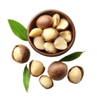 Fresh macadamia nut seeds arranged in a decorative bowl with green leaves on a transparent background, Macadamia nut seeds isolated on transparent background png