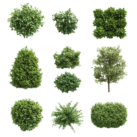 Lush green bushes in various shapes arranged on a transparent background showcasing natures versatility, Lush Green Bushes of Different Shapes on transparent background png
