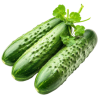 Fresh small green cucumbers isolated on a clean transparent background for culinary use and healthy recipes, small green cucumbers isolated on transparent background png