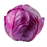 Fresh red cabbage isolated on a clean transparent background, perfect for showcasing vibrant color and healthy eating, Red cabbage isolated on transparent background png