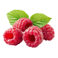 Fresh ripe raspberries with vibrant green leaves isolated on a transparent background for culinary use and presentation, ripe raspberries with green leaf isolated on transparent background png
