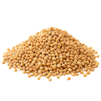 A closeup view of a heap of soybeans isolated on a clean transparent background showcasing their texture and color, Heap of soybeans isolated png