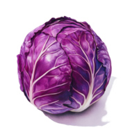 Freshly harvested red cabbage on a clean transparent surface showcasing its vibrant color and texture for culinary use, Red cabbage on transparent background png