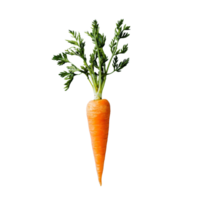 Fresh carrot with green leaves displayed on a minimalist transparent background in natural light, Carrot slice top view isolated on transparent background png