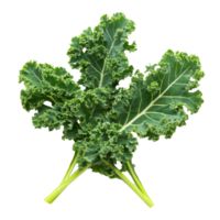 Fresh kale leaves isolated on a bright transparent background, showcasing their vibrant green color and unique texture, Kale leaves isolated on transparent background png