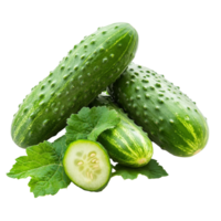 Fresh cucumbers with vibrant green leaves isolated on a clean transparent background for culinary use or decoration, Cucumber with leaf isolated on transparent background png
