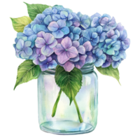 Beautiful watercolor hydrangea flowers in a jar with fresh green leaves isolated on a bright background, hydrangea flowers in a jar isolated on a transparent background. hydrangea flower transparent png