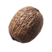 Dried nutmeg resting on a transparent surface showcasing its textured shell and natural brown hue, dry nutmeg on transparent background png