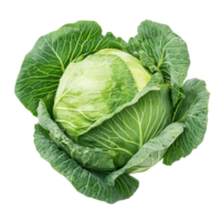 Fresh green cabbage isolated on a clean transparent background showcasing its vibrant leaves and round shape, cabbage isolated on transparent background png