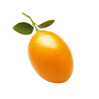 Fresh orange kumquat resting on a transparent background showcasing its vibrant color and natural features, Orange kumquat isolated on transparent background png