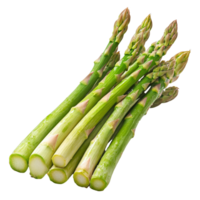 Fresh green asparagus arranged neatly on a transparent background for culinary use and presentation, Asparagus isolated on transparent background png