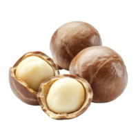 Fresh macadamia nuts on a transparent background showcasing their natural texture and rich inner kernels, fresh macadamia nuts on transparent background png