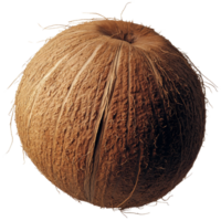 Coconut on isolated background highlighting its rough texture and natural fibers against a simple backdrop, coconut on isolated background png