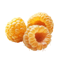 Fresh yellow raspberries arranged neatly on a transparent background, showcasing their vibrant color and unique texture, half yellow raspberries isolated on transparent background png