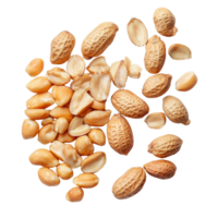 A collection of peeled and unpeeled peanuts arranged on a transparent background showcasing their texture and diversity, Group of peeled and unpeeled peanuts isolated on transparent background png
