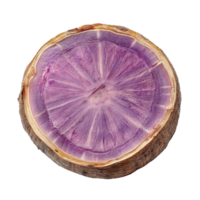 Freshly sliced taro root showcasing vibrant purple flesh on a transparent background for culinary use, taro slice isolated on transparent background png