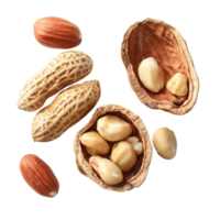 Opened shell peanuts and unpeeled peanuts scattered on a transparent surface for a natural food display, Opened shell peanut and unpeeled peanuts over transparent background png