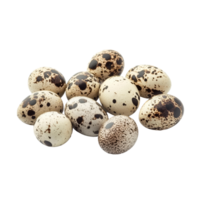 Fresh quail eggs displayed in a natural arrangement on a clean transparent background, quail eggs isolated on transparent background png