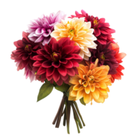 Vibrant bouquet of dahlia flowers beautifully arranged on a transparent background for decorative purposes, Bouquet of dahlia flowers, isolated on transparent background png