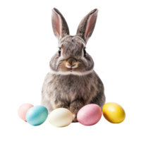 A funny bunny celebrating Easter with colorful eggs on a bright transparent background, funny bunny easter with eggs on transparent background png