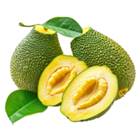Fresh jack fruits with green leaves on a bright transparent background highlighting their unique texture and color, jack fruits with leaf on transparent background png