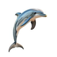Dolphin swimming gracefully on a transparent background showcasing its vibrant features and elegant movement, dolphin isolated on transparent background png