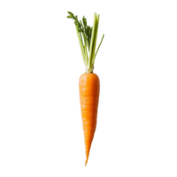 Fresh organic carrot with green tops on a clean transparent surface, ideal for culinary presentations or healthy dishes, slice carrot on transparent background png