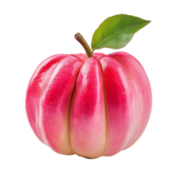 Fresh rose apple isolated on a clean transparent background showcasing its vibrant color and unique shape, fresh rose apple isolated on transparent background png