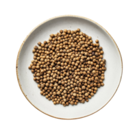 Coriander seeds arranged neatly in a round plate on a clean transparent surface showcasing their natural brown tones and unique textures, coriander seeds in plate on transparent background png