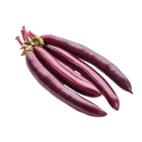 Fresh red long beans isolated on a transparent background showcasing their vibrant color and elongated shape, red Long bean isolated on transparent background png