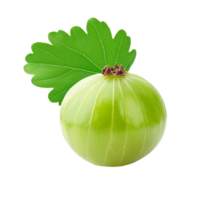 Indian gooseberry with a leaf isolated on a transparent background showcasing its vibrant color and texture, Indian gooseberry with leaf isolated on transparent background png