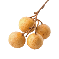 Fresh longan fruit cluster on a clean transparent background showcasing its unique texture and color, Longan isolated on transparent background png