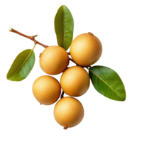 Fresh longan fruit with green leaves isolated on a transparent background ready for culinary use or healthy snacking, Longan isolated on transparent background png