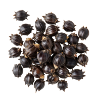 Castor oil seeds displayed against a clean transparent background highlighting their unique shape and texture in a detailed view, Castor oil seeds isolated on transparent background png