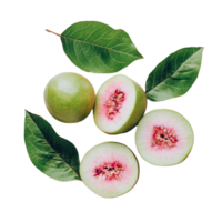 Fresh guava fruit halved with vibrant pink flesh and surrounded by green leaves on a clean transparent background, guava on transparent background png